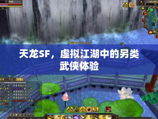 天龙SF，虚拟江湖中的另类武侠体验