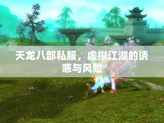 天龙八部私服，虚拟江湖的诱惑与风险