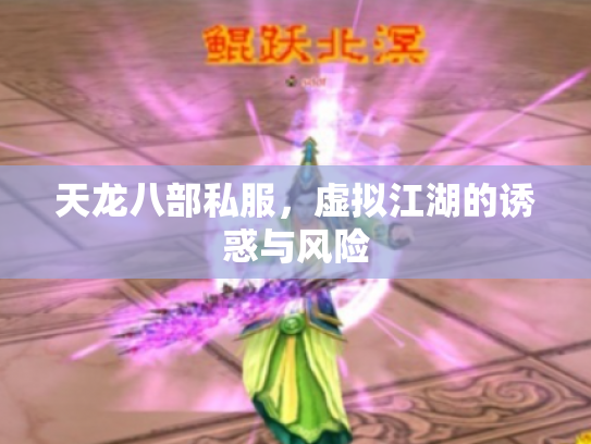 天龙八部私服，虚拟江湖的诱惑与风险