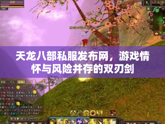 天龙八部私服发布网，游戏情怀与风险并存的双刃剑