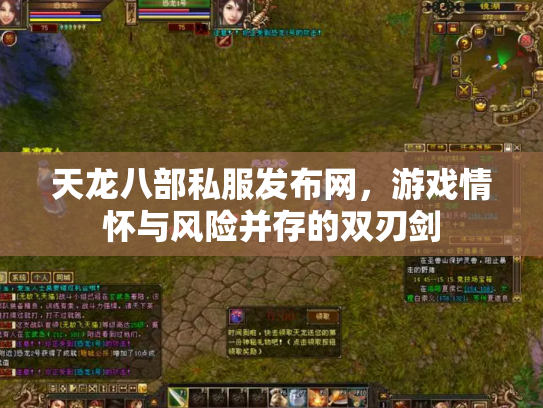 天龙八部私服发布网，游戏情怀与风险并存的双刃剑