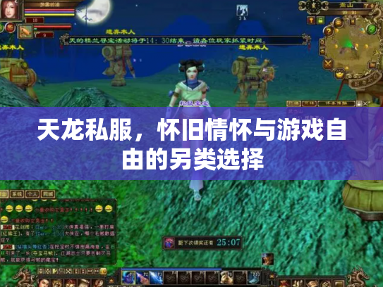 天龙私服，怀旧情怀与游戏自由的另类选择
