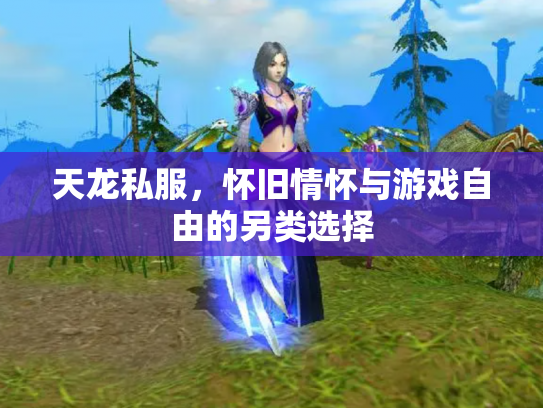 天龙私服，怀旧情怀与游戏自由的另类选择