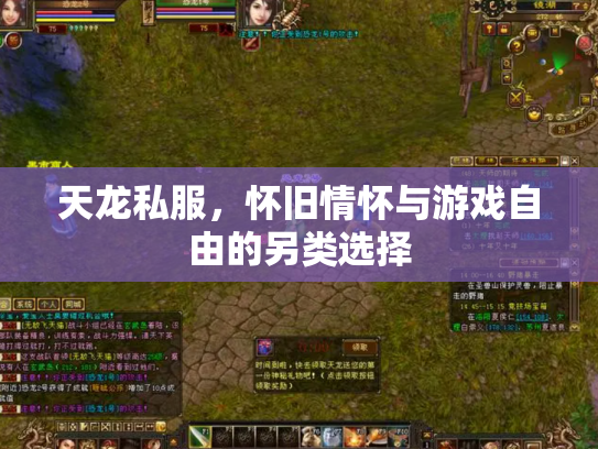 天龙私服，怀旧情怀与游戏自由的另类选择