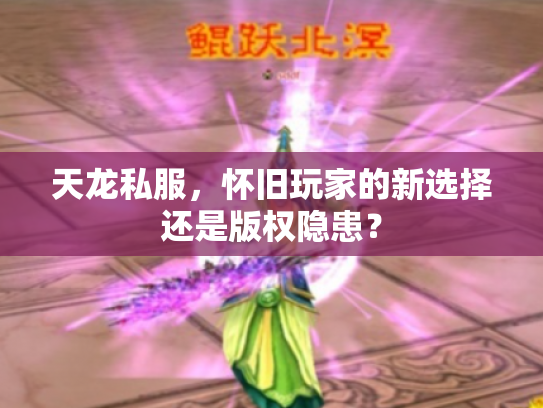 天龙私服，怀旧玩家的新选择还是版权隐患？