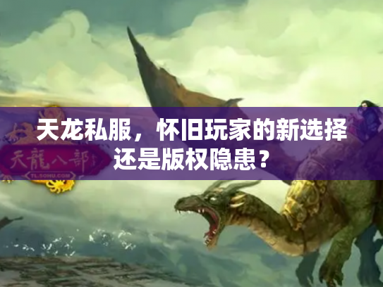 天龙私服，怀旧玩家的新选择还是版权隐患？