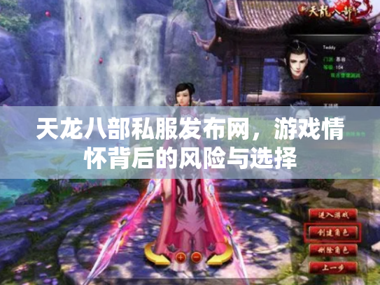 天龙八部私服发布网，游戏情怀背后的风险与选择