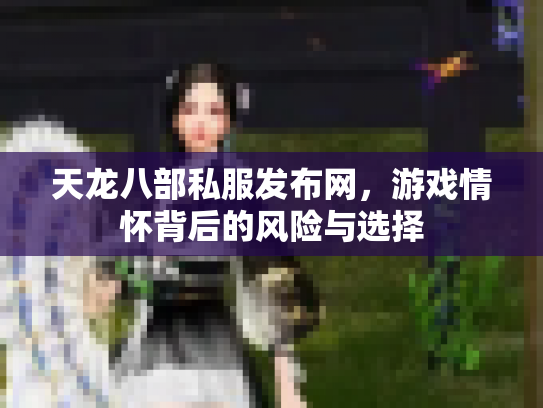 天龙八部私服发布网，游戏情怀背后的风险与选择