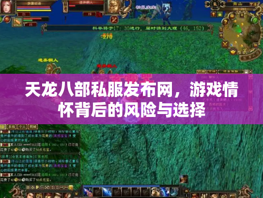 天龙八部私服发布网，游戏情怀背后的风险与选择