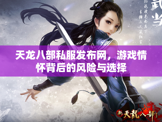 天龙八部私服发布网，游戏情怀背后的风险与选择