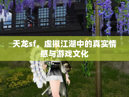 天龙sf，虚拟江湖中的真实情感与游戏文化