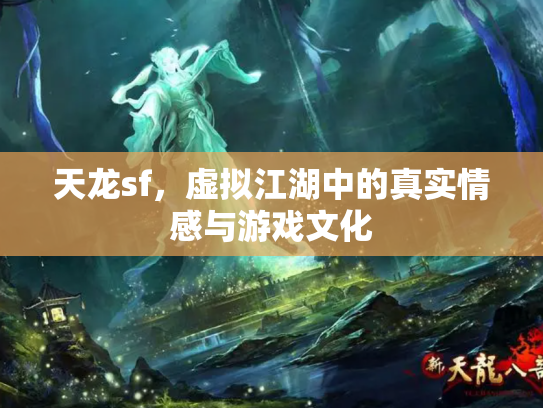 天龙sf，虚拟江湖中的真实情感与游戏文化