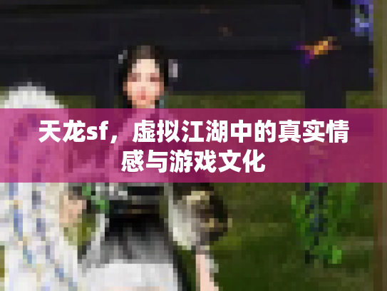 天龙sf，虚拟江湖中的真实情感与游戏文化