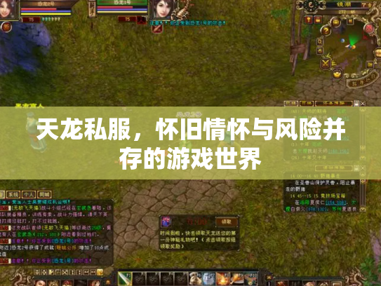 天龙私服，怀旧情怀与风险并存的游戏世界