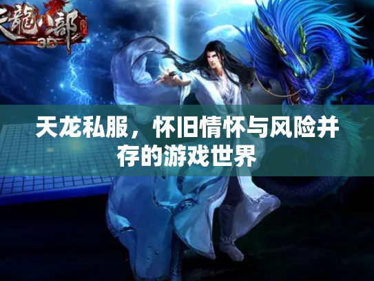 天龙私服，怀旧情怀与风险并存的游戏世界