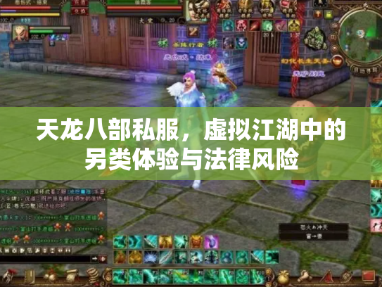 天龙八部私服，虚拟江湖中的另类体验与法律风险
