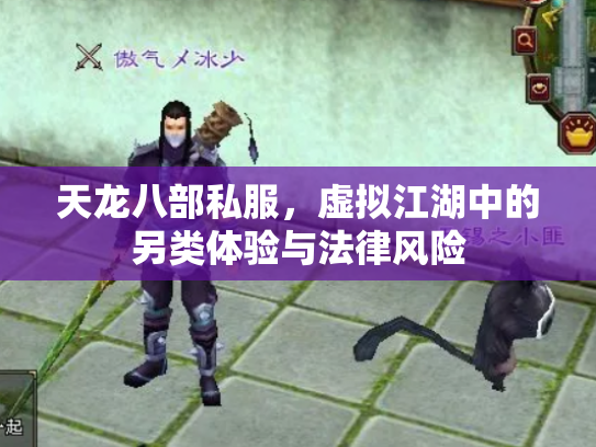 天龙八部私服，虚拟江湖中的另类体验与法律风险