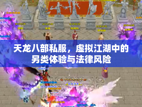 天龙八部私服，虚拟江湖中的另类体验与法律风险