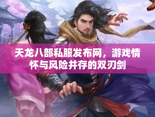 天龙八部私服发布网，游戏情怀与风险并存的双刃剑
