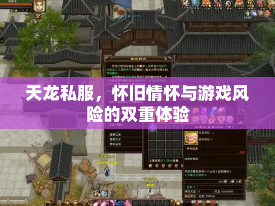 天龙私服，怀旧情怀与游戏风险的双重体验