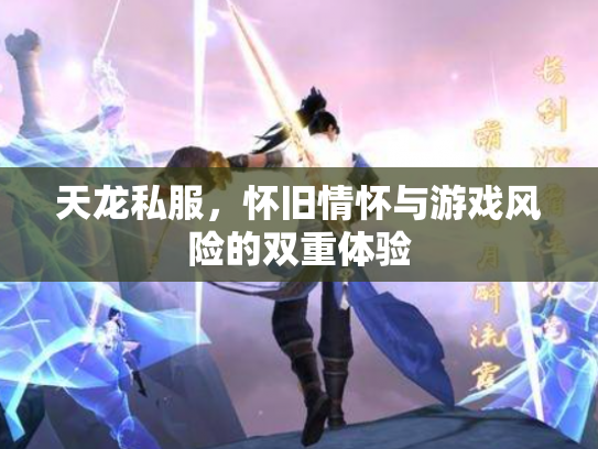 天龙私服，怀旧情怀与游戏风险的双重体验