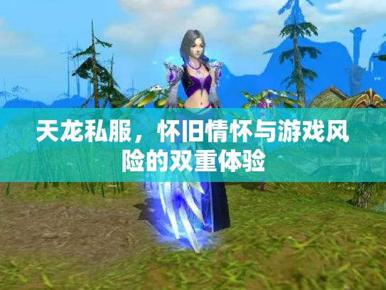 天龙私服，怀旧情怀与游戏风险的双重体验