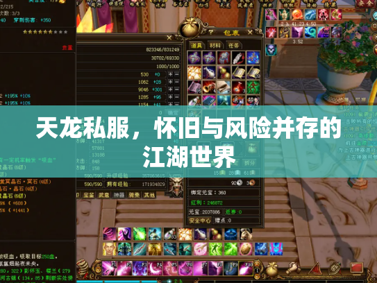 天龙私服，怀旧与风险并存的江湖世界