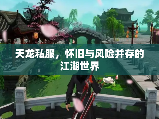 天龙私服，怀旧与风险并存的江湖世界