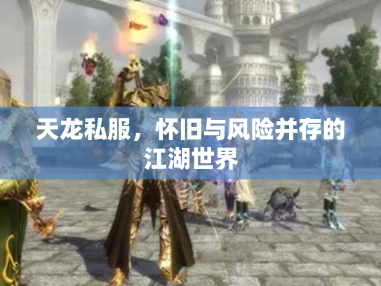 天龙私服，怀旧与风险并存的江湖世界