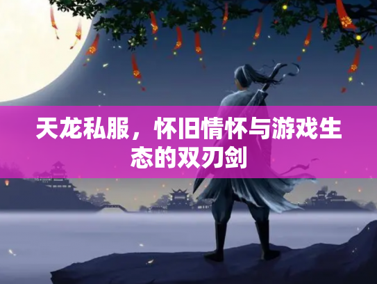 天龙私服，怀旧情怀与游戏生态的双刃剑