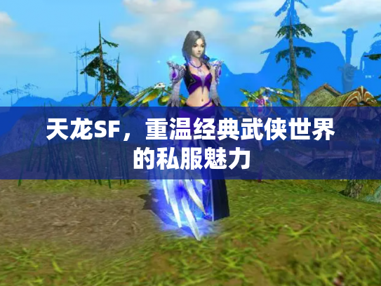 天龙SF，重温经典武侠世界的私服魅力