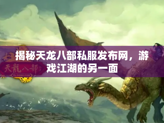 揭秘天龙八部私服发布网，游戏江湖的另一面