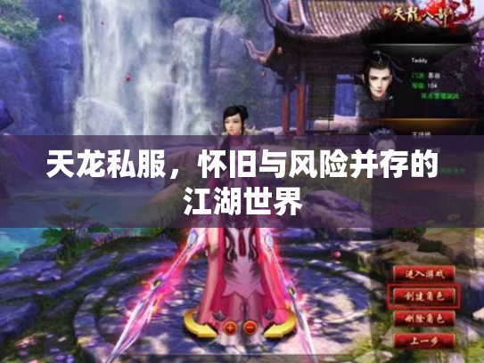 天龙私服，怀旧与风险并存的江湖世界