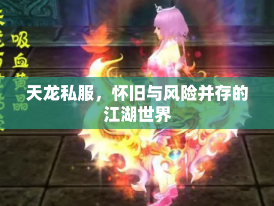 天龙私服，怀旧与风险并存的江湖世界