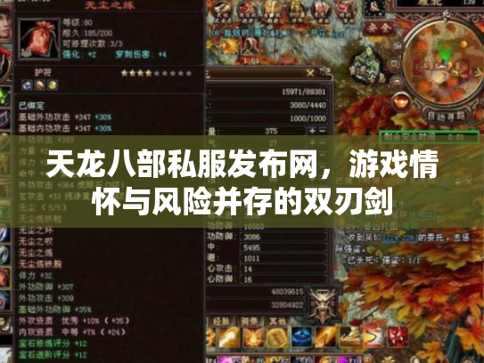 天龙八部私服发布网，游戏情怀与风险并存的双刃剑
