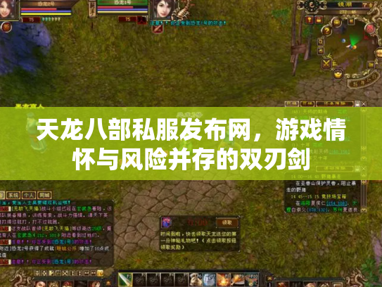 天龙八部私服发布网，游戏情怀与风险并存的双刃剑