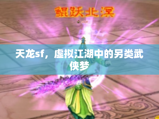 天龙sf，虚拟江湖中的另类武侠梦