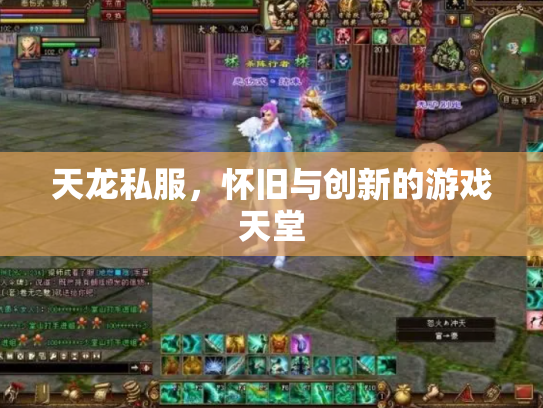 天龙私服，怀旧与创新的游戏天堂
