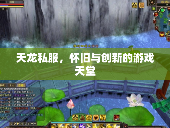 天龙私服，怀旧与创新的游戏天堂