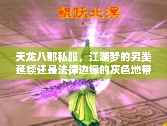 天龙八部私服，江湖梦的另类延续还是法律边缘的灰色地带？