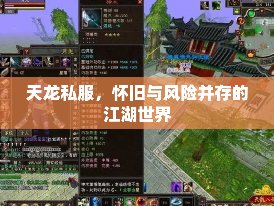 天龙私服，怀旧与风险并存的江湖世界