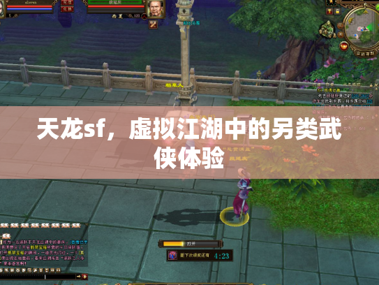 天龙sf，虚拟江湖中的另类武侠体验