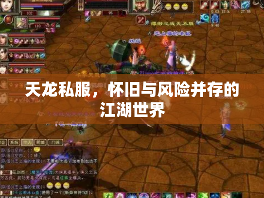 天龙私服，怀旧与风险并存的江湖世界