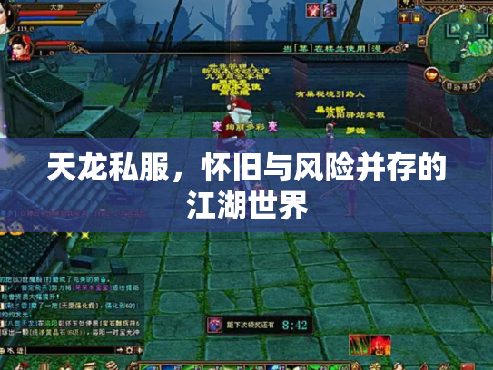 天龙私服，怀旧与风险并存的江湖世界