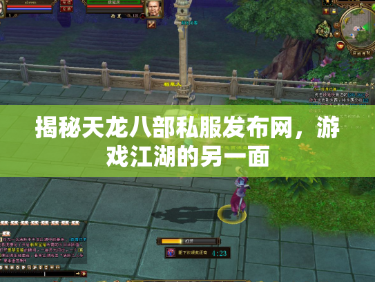揭秘天龙八部私服发布网，游戏江湖的另一面