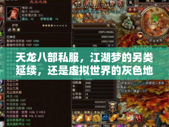天龙八部私服，江湖梦的另类延续，还是虚拟世界的灰色地带？