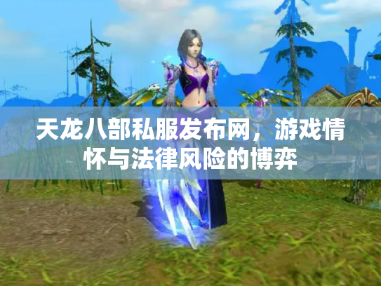 天龙八部私服发布网，游戏情怀与法律风险的博弈