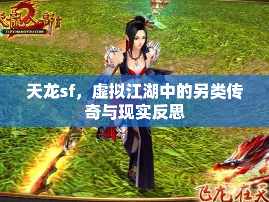 天龙sf，虚拟江湖中的另类传奇与现实反思