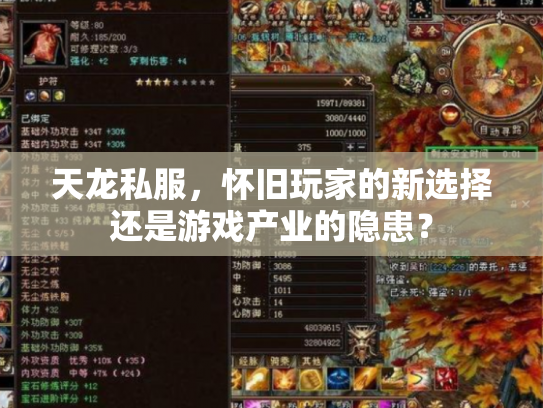 天龙私服，怀旧玩家的新选择还是游戏产业的隐患？