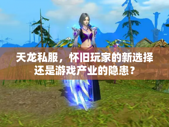 天龙私服，怀旧玩家的新选择还是游戏产业的隐患？